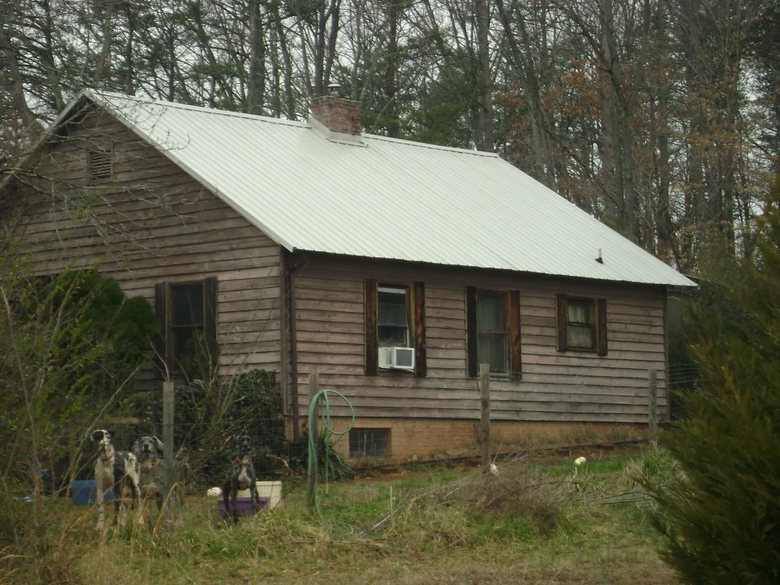 White metal roof on an old wood sided farmhouse, from a Metal Roof Installation job in Los Alamos